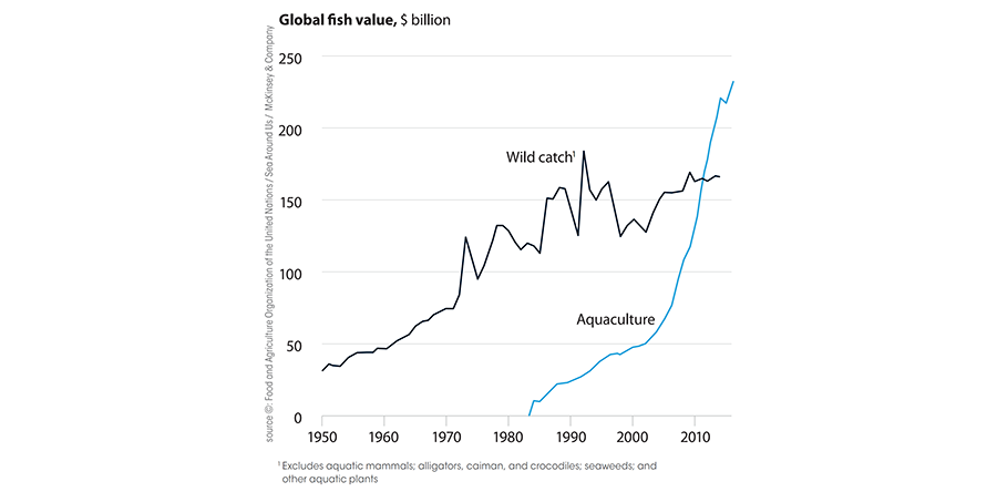 Graph - global fish value over decades