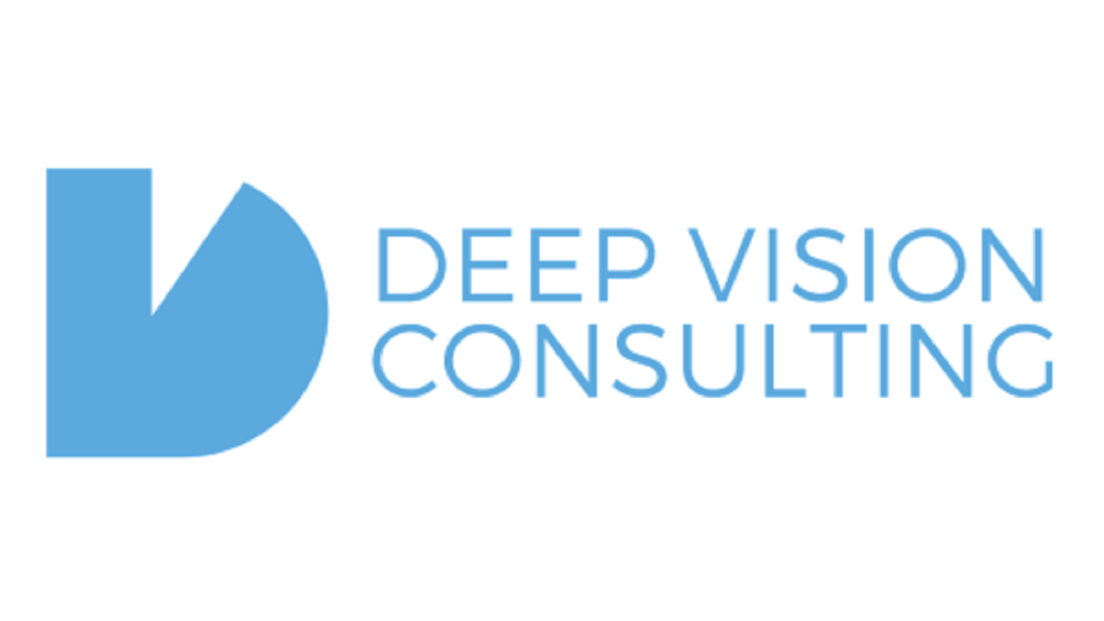 Deep Vision Consulting logo
