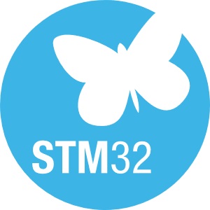 Image of ST STM32 icon